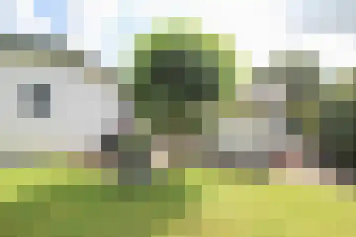 Kieftveen 30 333 Voorthuizen thumbnail 36