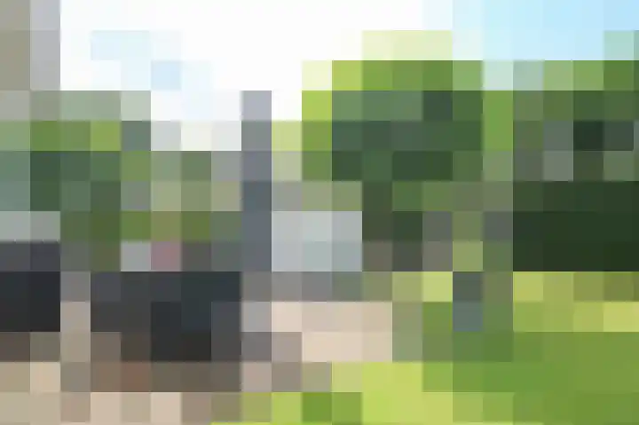 Kieftveen 30 333 Voorthuizen thumbnail 37