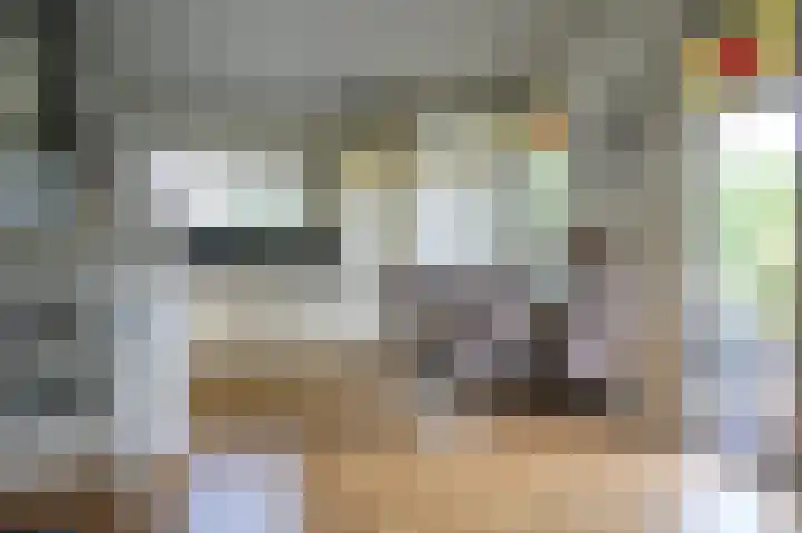 Kieftveen 30 333 Voorthuizen thumbnail 4