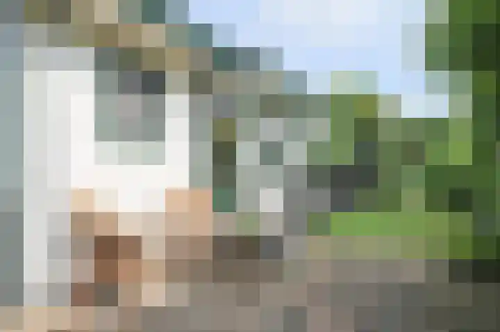 Kieftveen 30 333 Voorthuizen thumbnail 40