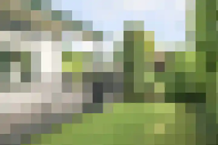 Kieftveen 30 333 Voorthuizen thumbnail 41