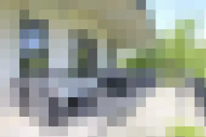 Kieftveen 30 333 Voorthuizen thumbnail 43