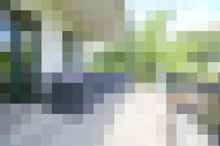 Kieftveen 30 333 Voorthuizen thumbnail 44