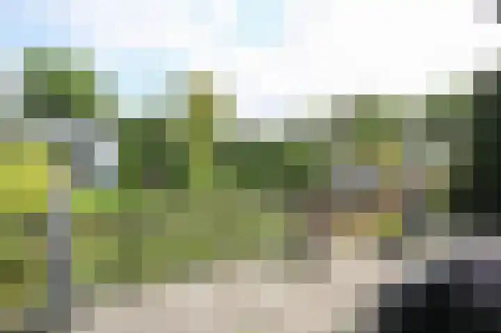 Kieftveen 30 333 Voorthuizen thumbnail 46