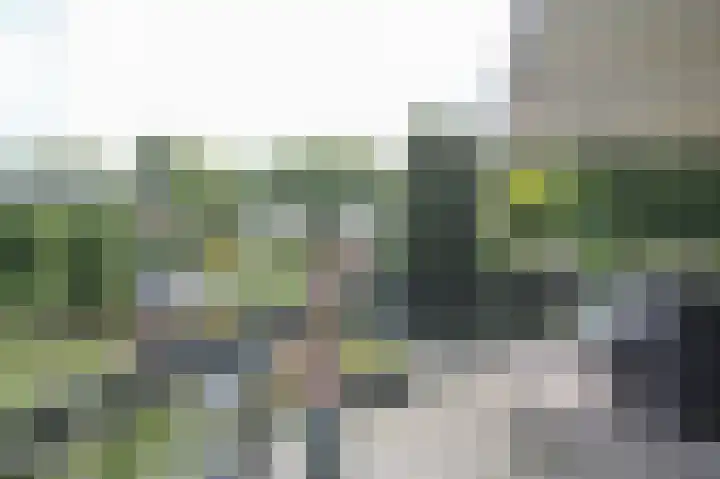 Kieftveen 30 333 Voorthuizen thumbnail 47