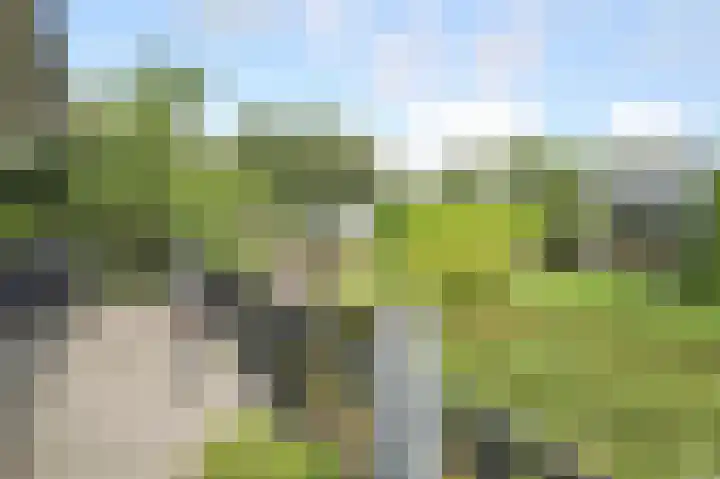 Kieftveen 30 333 Voorthuizen thumbnail 48