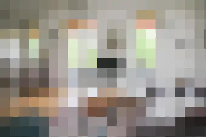 Kieftveen 30 333 Voorthuizen thumbnail 8