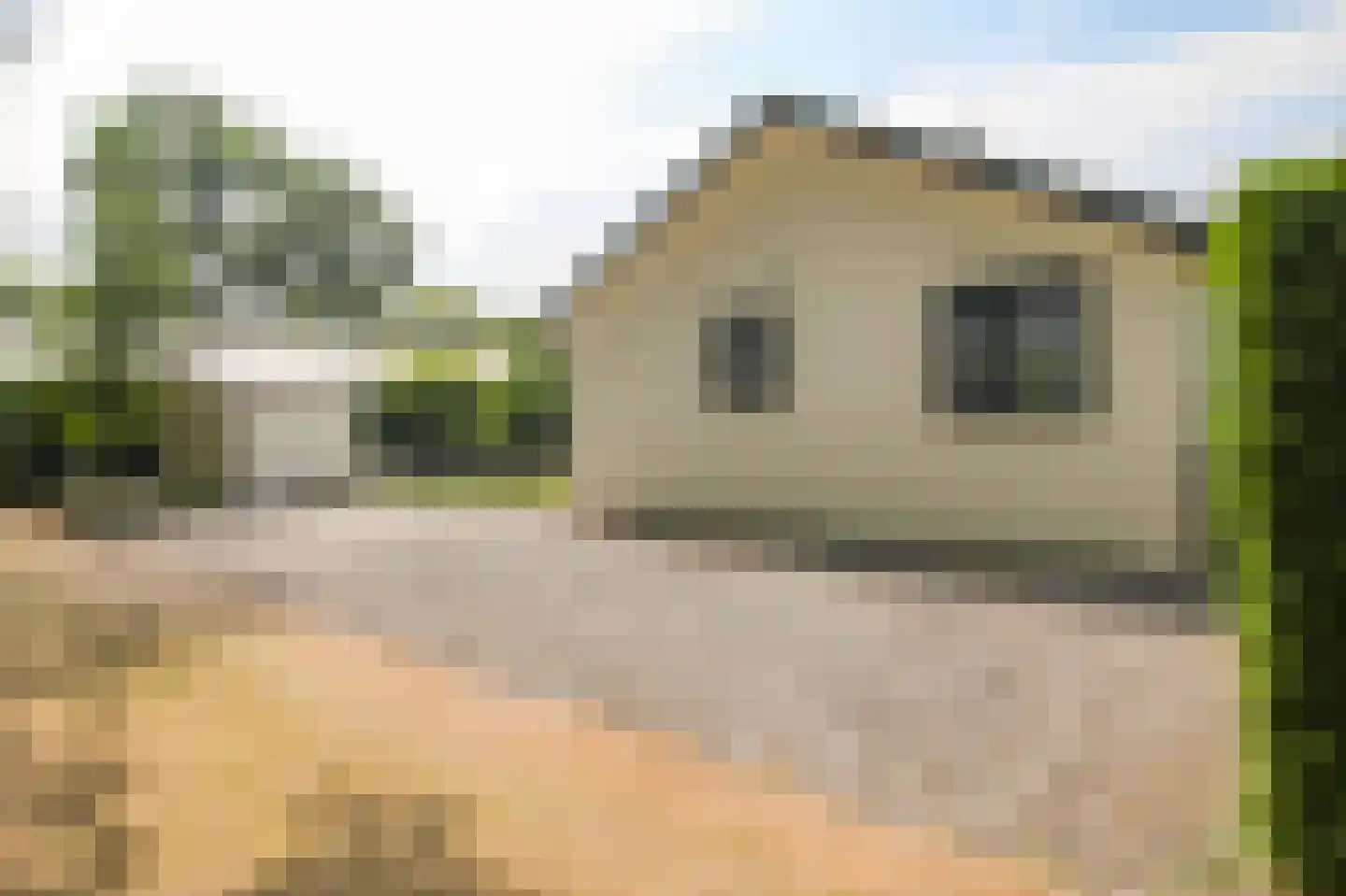Kieftveen 30 339 Voorthuizen thumbnail 46