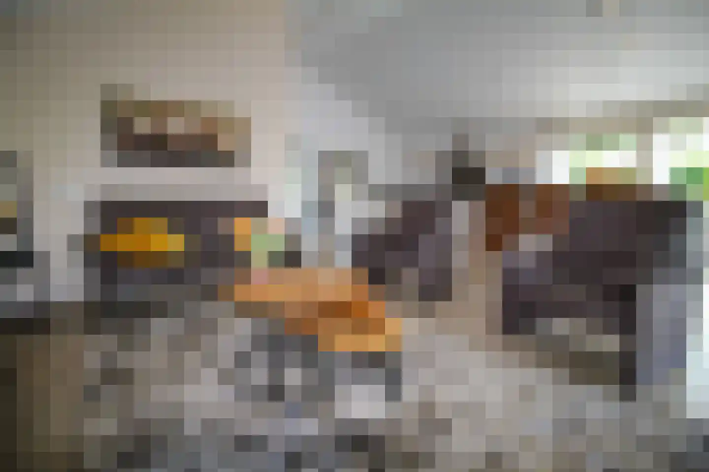 Kieftveen 30 339 Voorthuizen thumbnail 6