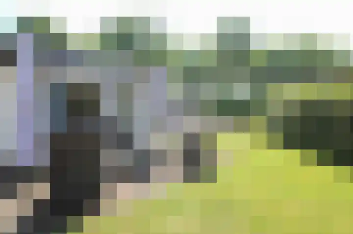 Kieftveen 30 346 Voorthuizen thumbnail 32