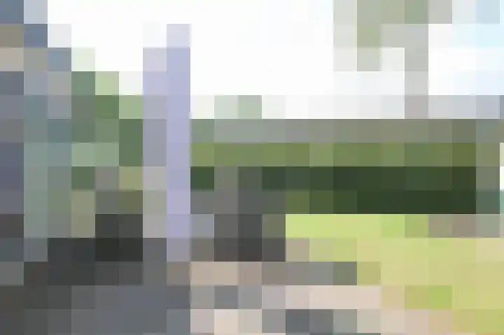 Kieftveen 30 346 Voorthuizen thumbnail 35
