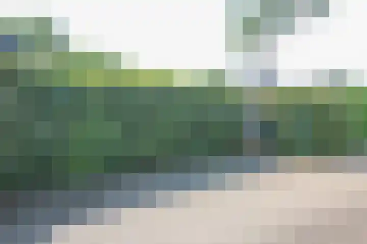 Kieftveen 30 346 Voorthuizen thumbnail 39