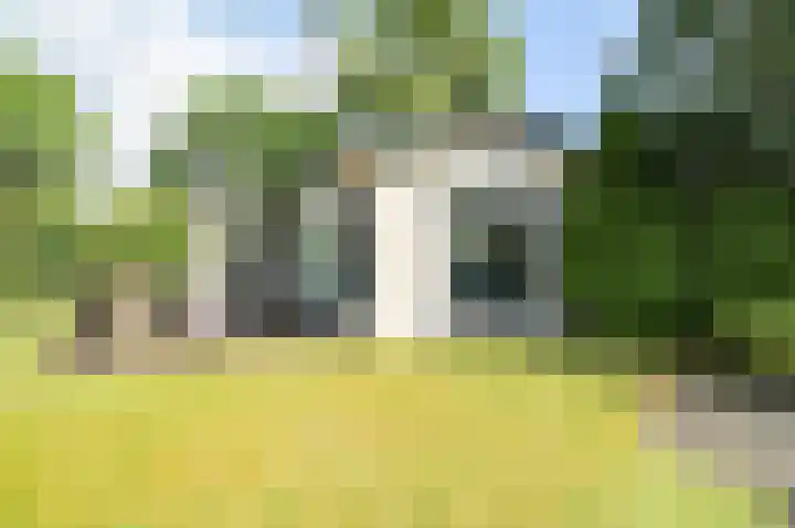 Kieftveen 30 346 Voorthuizen thumbnail 42