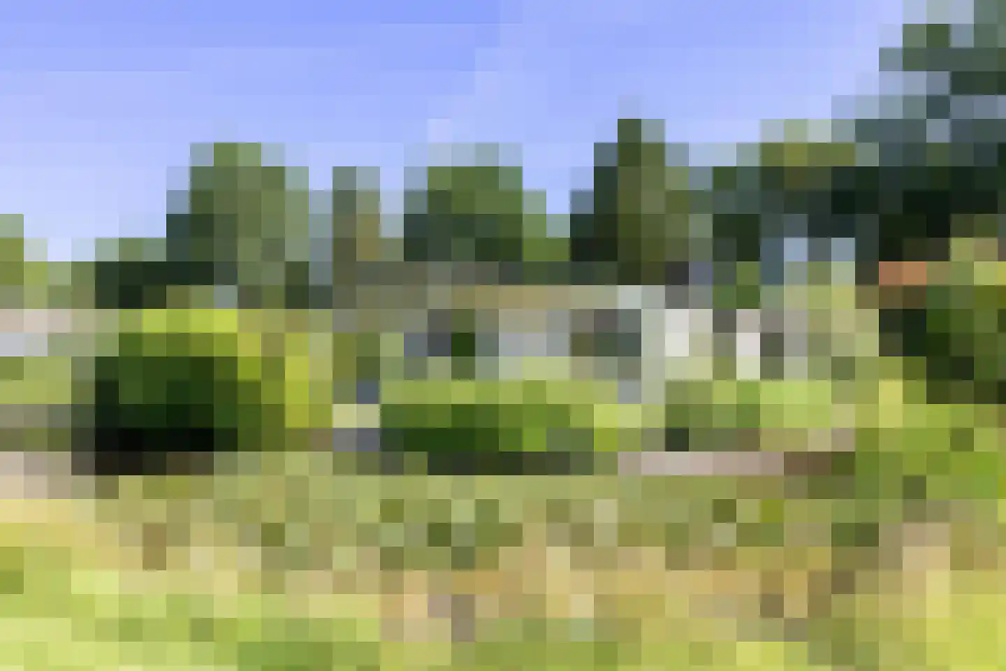 Kieftveen 30 366 Voorthuizen
