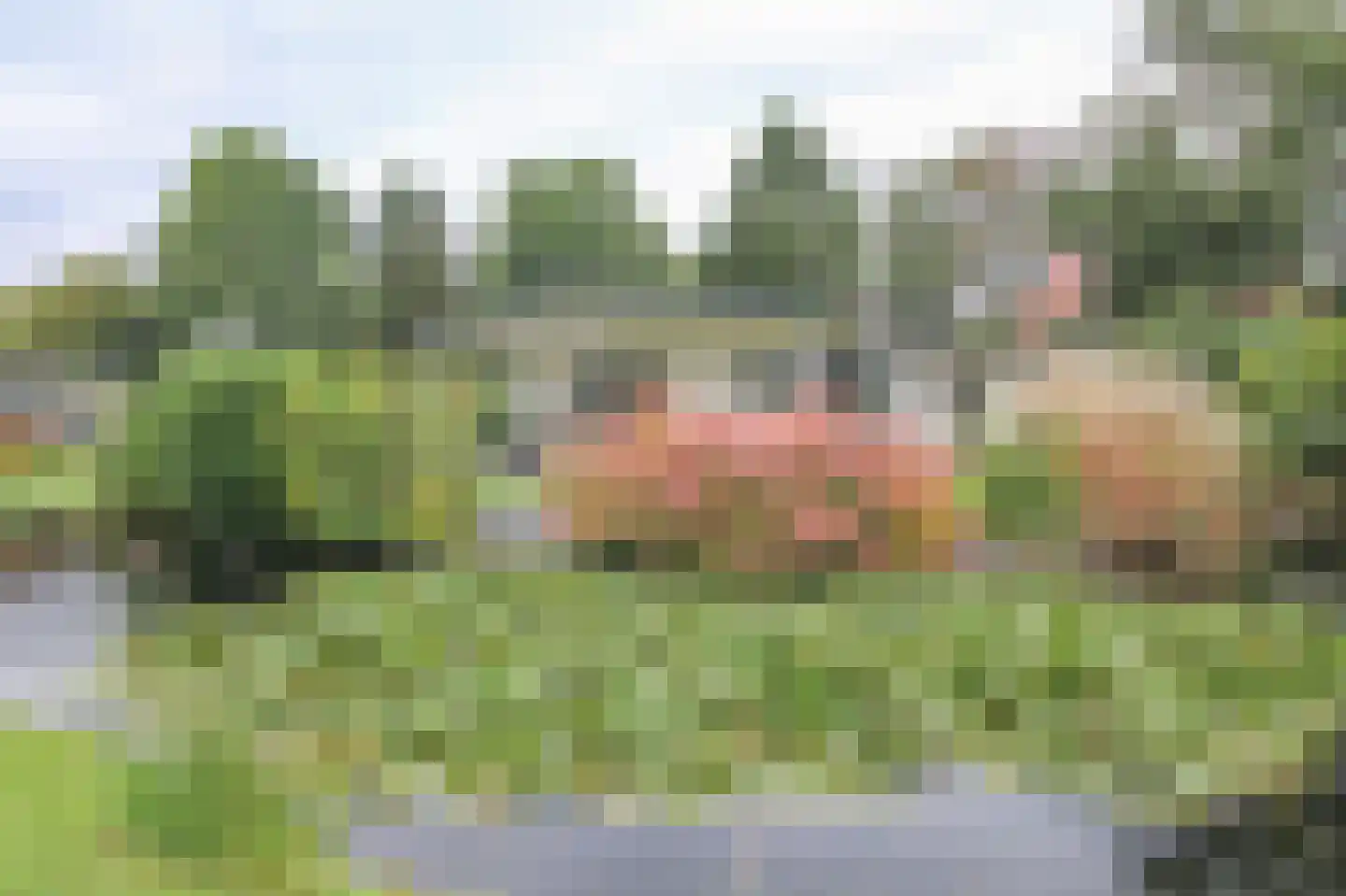 Kieftveen 30 366 Voorthuizen