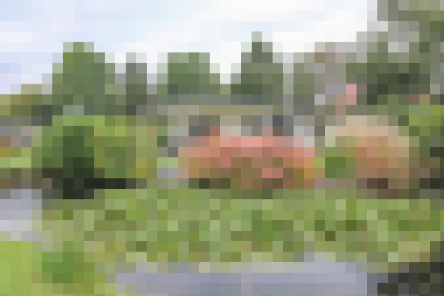Kieftveen 30 366 Voorthuizen thumbnail 26