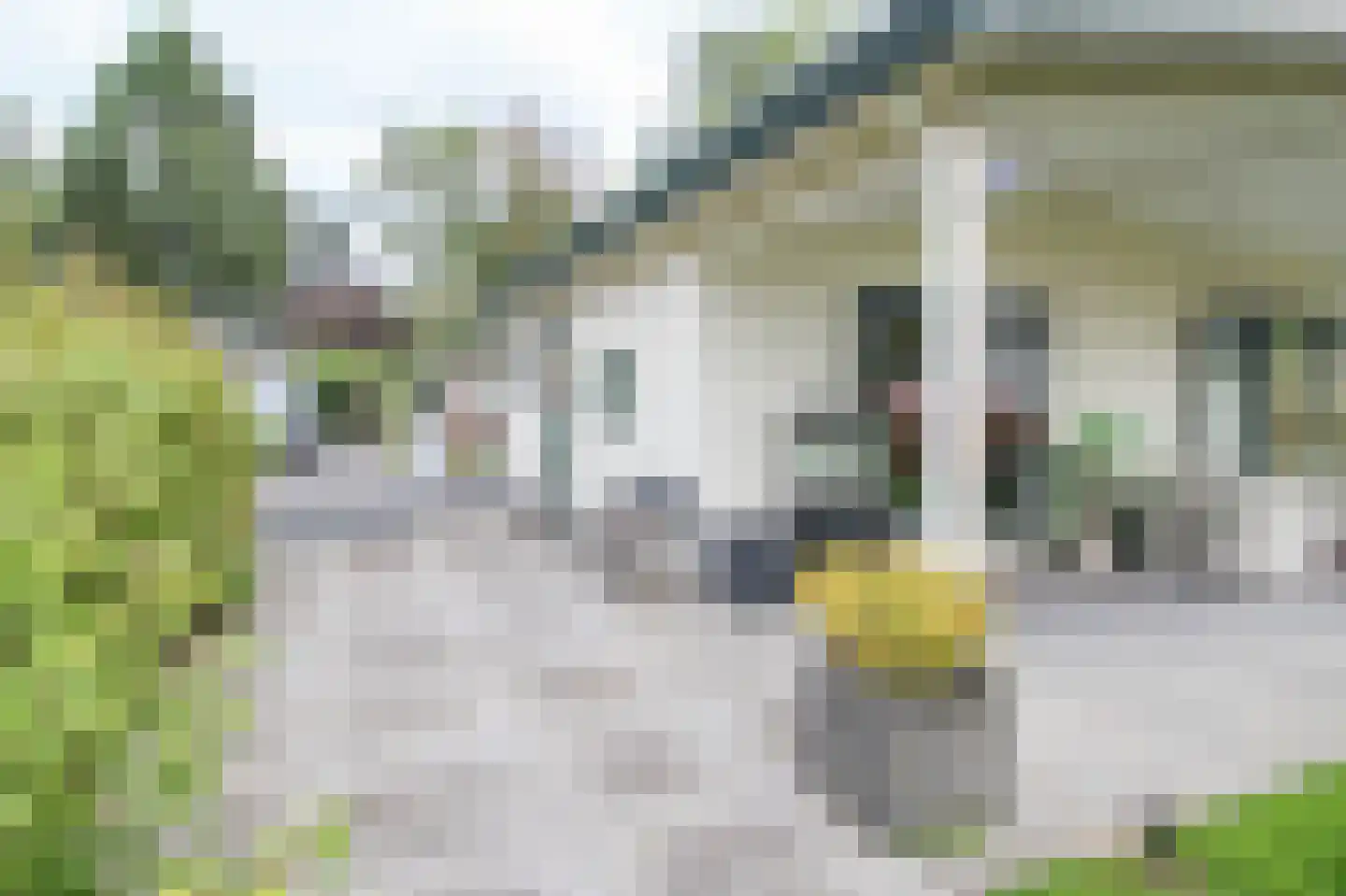 Kieftveen 30 366 Voorthuizen thumbnail 28