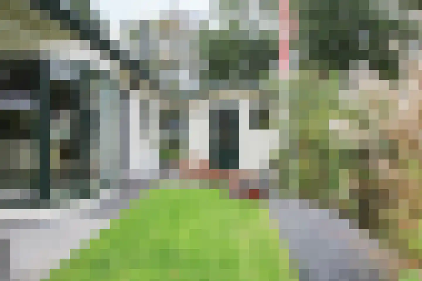 Kieftveen 30 366 Voorthuizen thumbnail 33