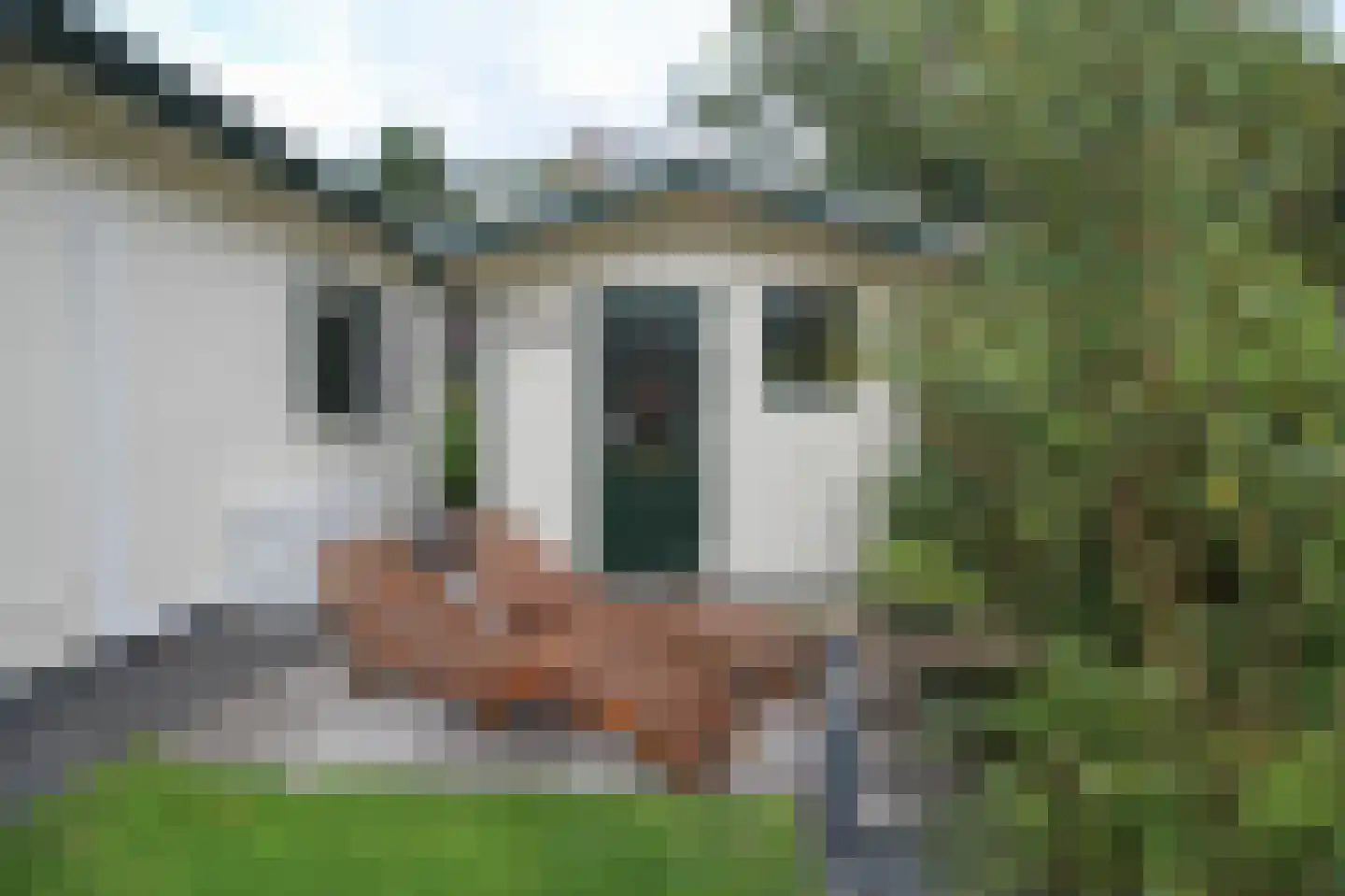 Kieftveen 30 366 Voorthuizen thumbnail 34