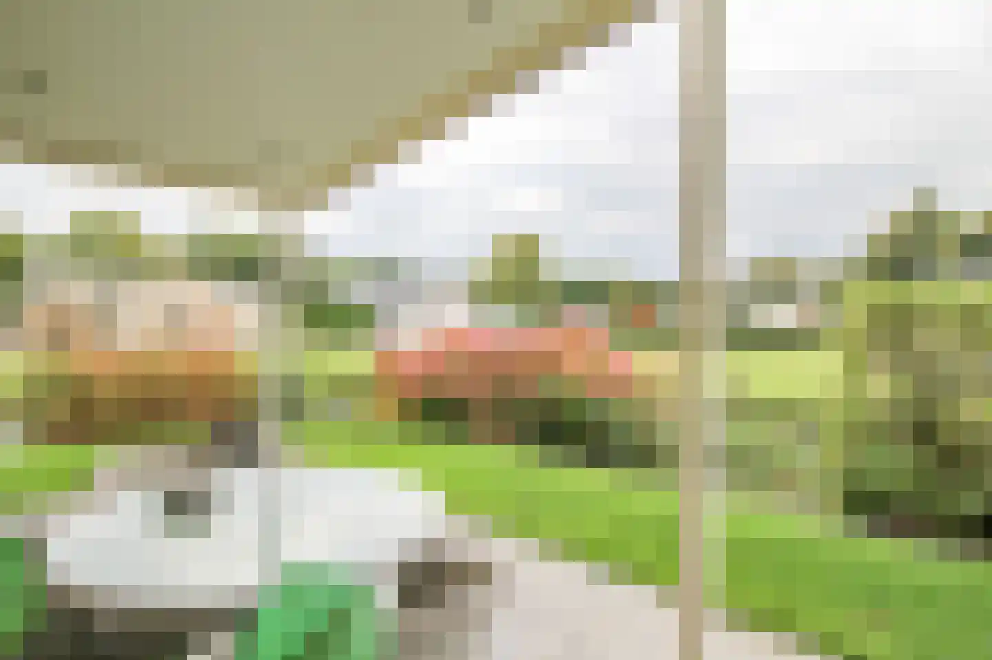 Kieftveen 30 366 Voorthuizen thumbnail 40