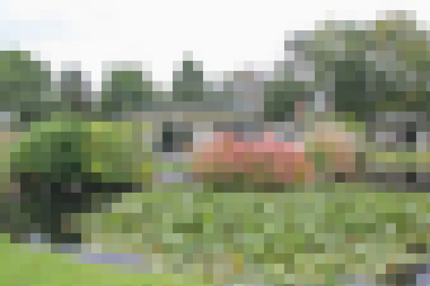 Kieftveen 30 366 Voorthuizen thumbnail 41