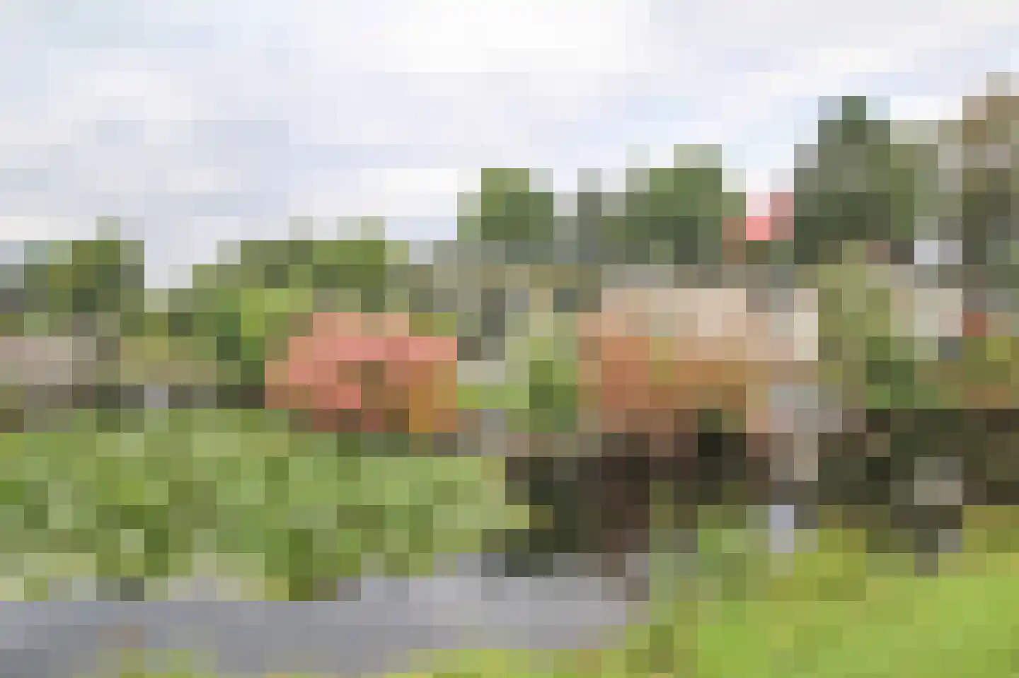 Kieftveen 30 366 Voorthuizen thumbnail 42