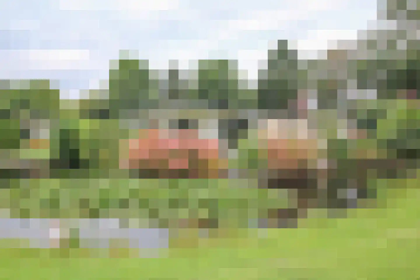 Kieftveen 30 366 Voorthuizen thumbnail 43