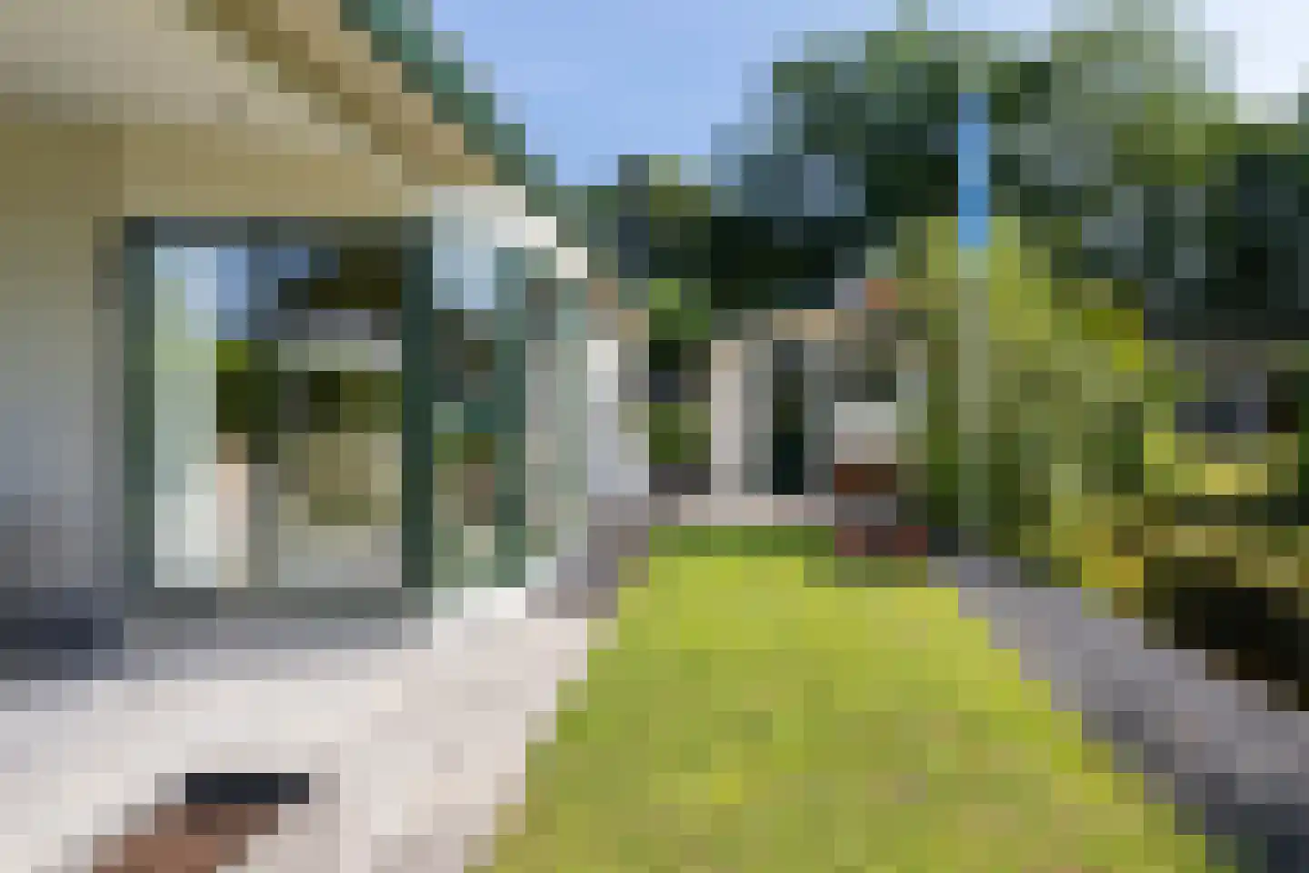 Kieftveen 30 366 Voorthuizen thumbnail 5