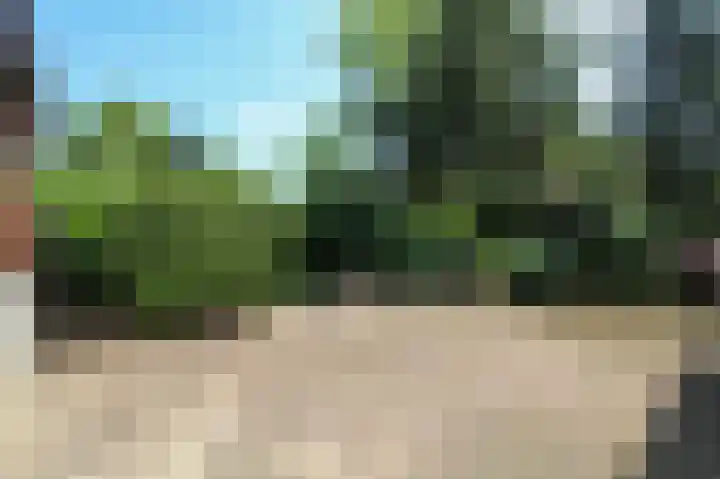 Kieftveen 30 41 Voorthuizen thumbnail 33