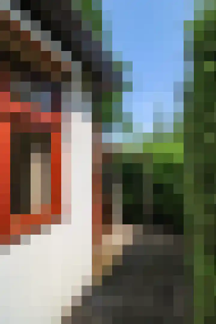Kieftveen 30 41 Voorthuizen thumbnail 35