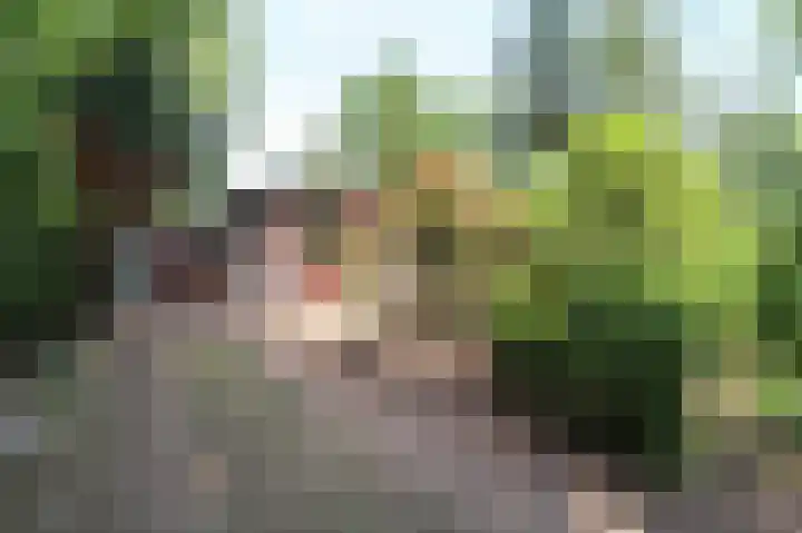 Kieftveen 30 41 Voorthuizen thumbnail 46