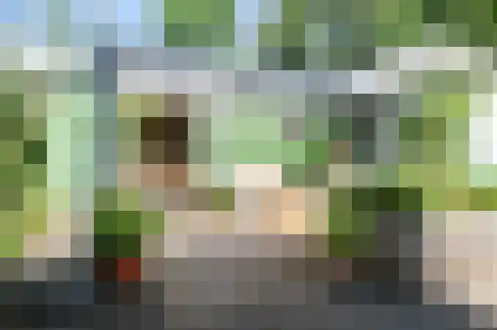 Kieftveen 30 525 Voorthuizen thumbnail 33