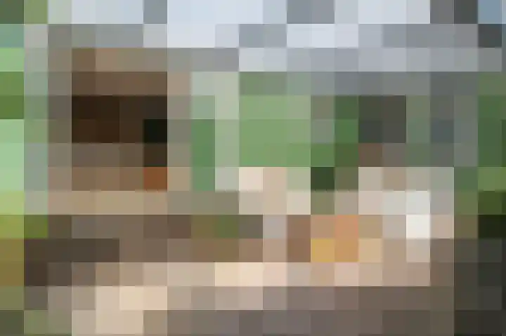 Kieftveen 30 525 Voorthuizen thumbnail 34