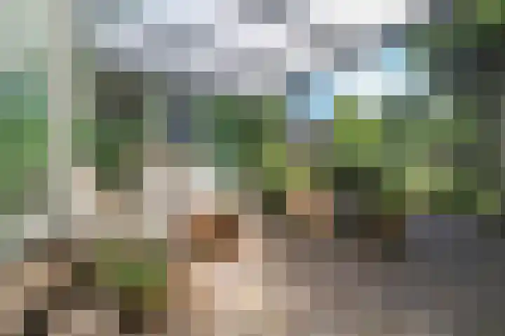 Kieftveen 30 525 Voorthuizen thumbnail 35