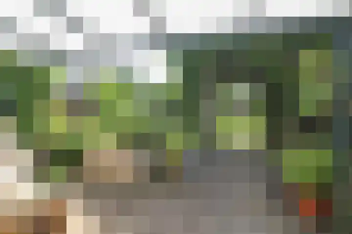 Kieftveen 30 525 Voorthuizen thumbnail 37