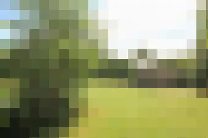 Kieftveen 30 525 Voorthuizen thumbnail 39
