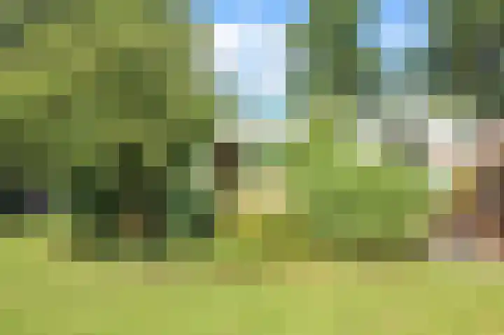 Kieftveen 30 525 Voorthuizen thumbnail 40