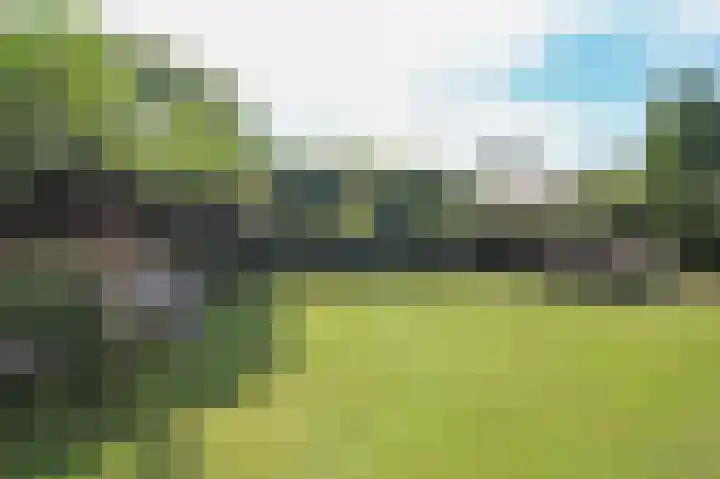 Kieftveen 30 525 Voorthuizen thumbnail 41
