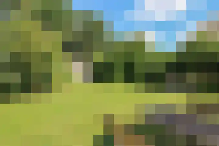 Kieftveen 30 525 Voorthuizen thumbnail 42