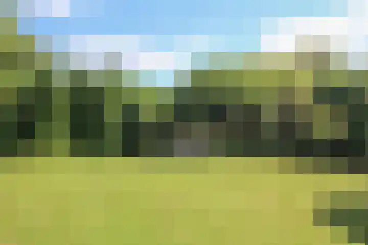 Kieftveen 30 525 Voorthuizen thumbnail 43