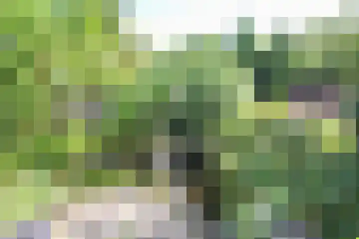Kieftveen 30 525 Voorthuizen thumbnail 44