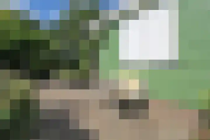 Kieftveen 30 525 Voorthuizen thumbnail 47