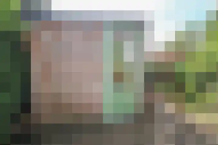 Kieftveen 30 525 Voorthuizen thumbnail 48