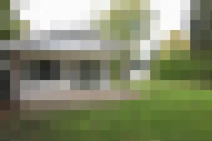 Kieftveen 30 61 Voorthuizen thumbnail 28