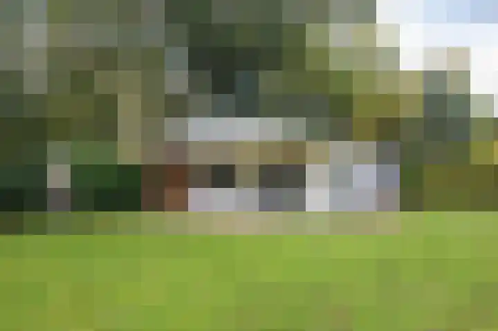 Kieftveen 30 61 Voorthuizen thumbnail 29