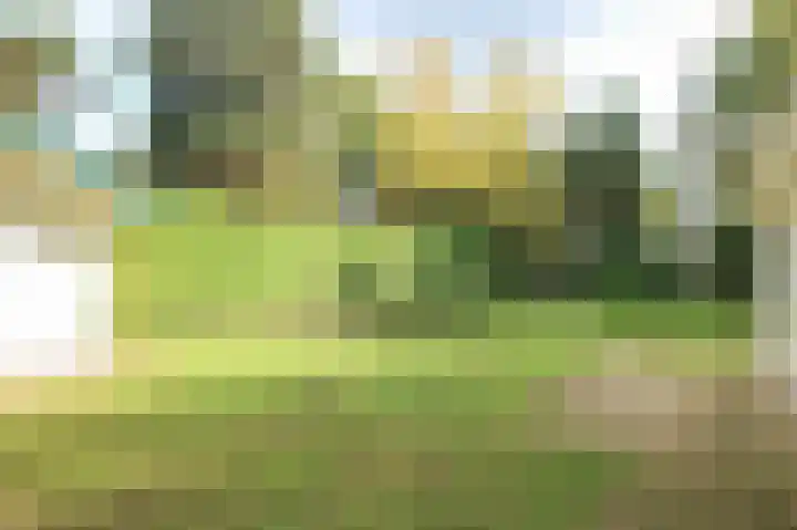 Kieftveen 30 61 Voorthuizen thumbnail 47