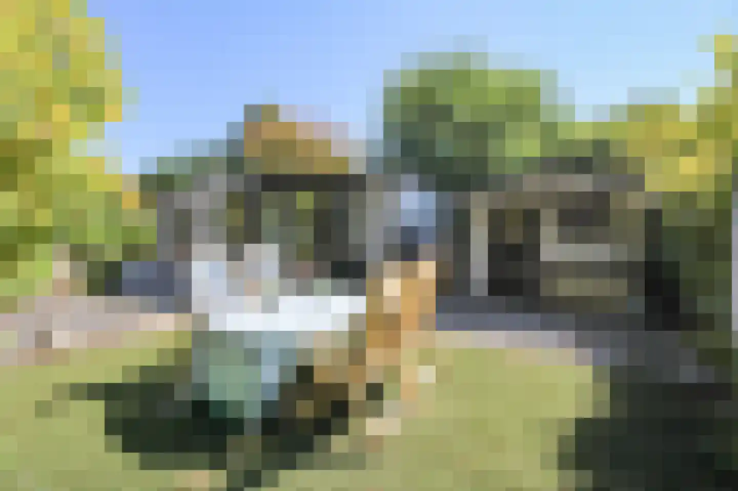 Kieftveen 30 619 Voorthuizen thumbnail 33