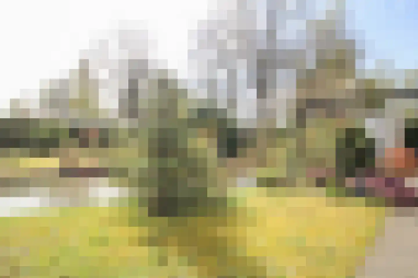Kieftveen 30 63 Voorthuizen thumbnail 37