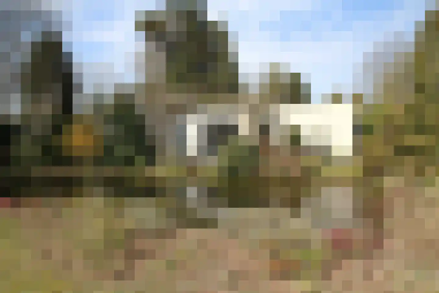 Kieftveen 30 63 Voorthuizen thumbnail 38