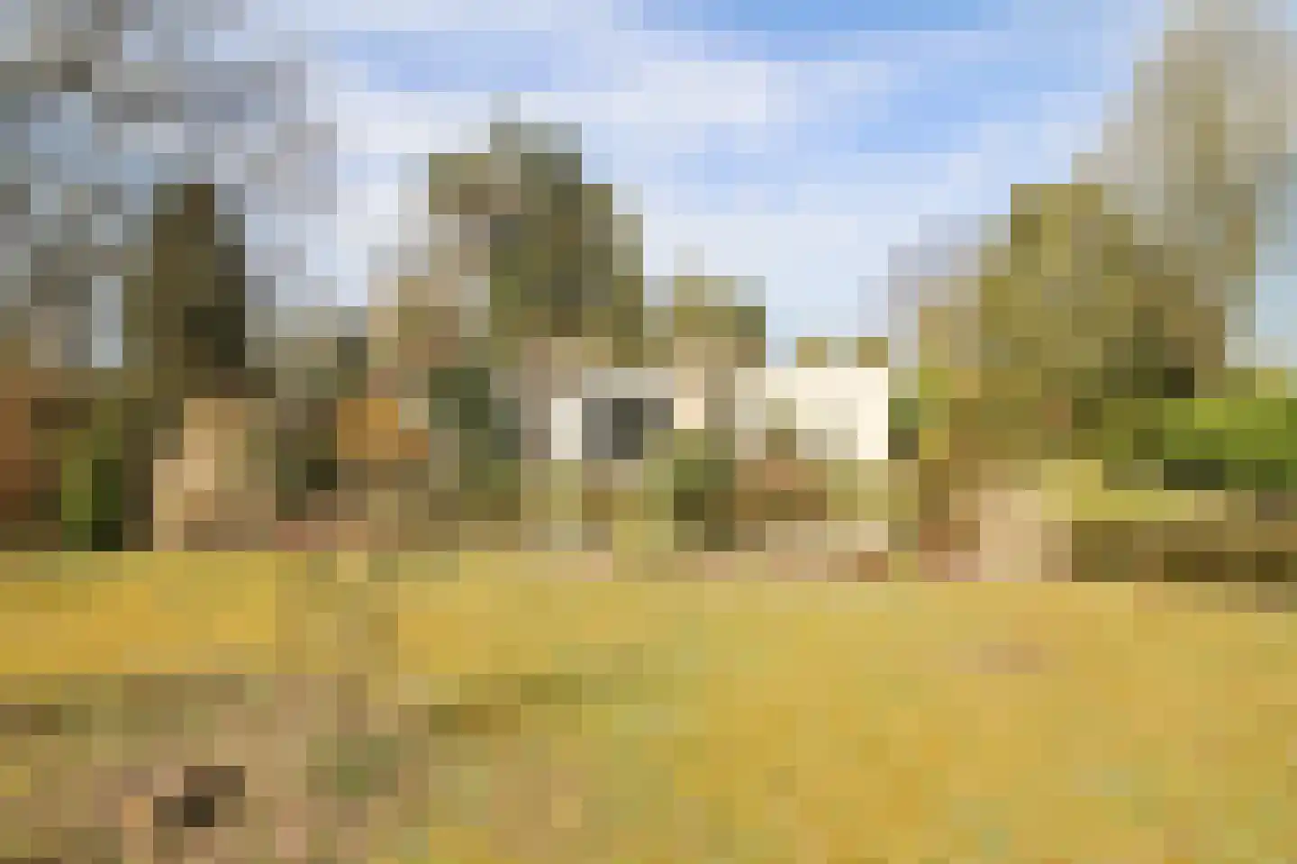 Kieftveen 30 63 Voorthuizen thumbnail 40